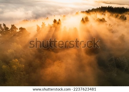 Foggy forest with sun rays. Top view from drone of mountain valley in low clouds. Aerial view of mountain peak with green trees in fog