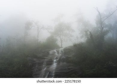 Foggy forest with waterfall - Powered by Shutterstock