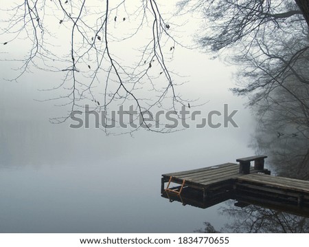 Foggy lake landscape with landing stage for boat. Lake, water and tree in the fog. Mystic trees under milky sky in the winter. Silent ambience. Germany, Brandenburg.