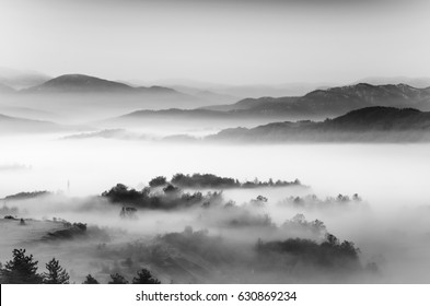 Foggy Landscape Black And White Photography