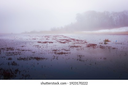 Foggy Landscape Over The Flooded Cranberry Bog And Forest On Cape Cod, Massachusetts