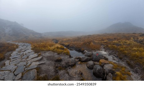 A foggy landscape with a stone path leading through a barren, grassy terrain. The scene is shrouded in mist, creating a mysterious and serene atmosphere. - Powered by Shutterstock