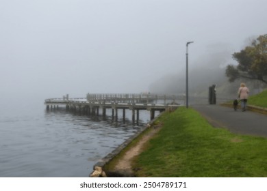 foggy landscape with woman walking dog in the mist along the sea shore - Powered by Shutterstock