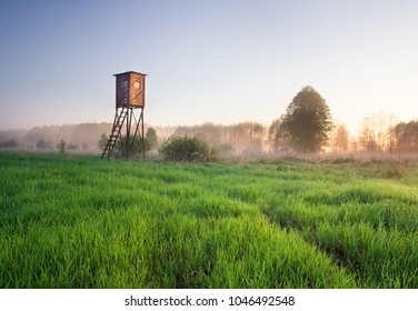 foggy meadow landscape with raised hide at sunrise