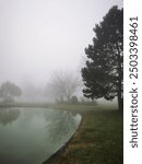 Foggy mist morning. Mystic fog view with spruce fir forest reflecting in water of pond in Hesse, Germany. Trees disappear in the fog,  mirroring calm lake. Melancholy, quiet, sinister, silence, spooky