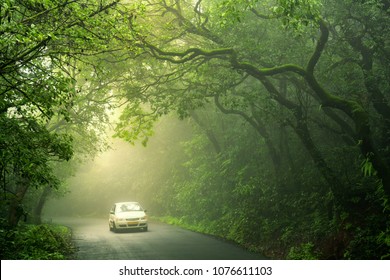 Monsoon Morning Images Stock Photos Vectors Shutterstock