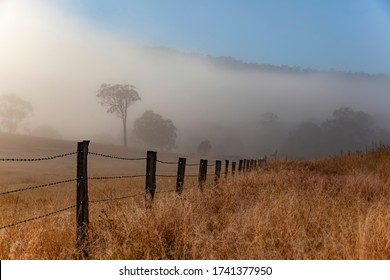 A Foggy Morning in An Australian Country Farm