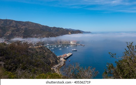 Foggy Morning at Avalon Harbor at Catalina Island, California, USA
