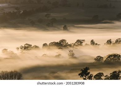 A Foggy Morning In Bright, Victoria