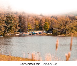 Imagenes Fotos De Stock Y Vectores Sobre Yellow Cabins Shutterstock