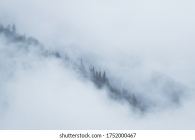 Foggy Morning In Cooper Landing Alaska