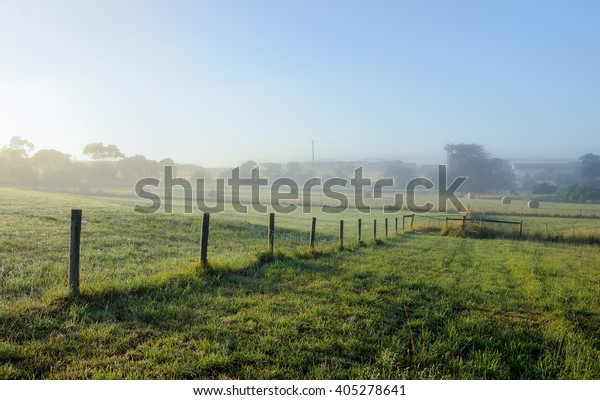Foggy morning in\
the countryside of\
Australia.
