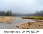 Foggy Morning Creek at Acadia National Park A narrow creek winds through a sandy beach, bordered by tall trees and a grassy marsh. The morning fog hangs low over the scene, creating a tranquil and et