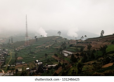 Foggy Morning In Dieng, Kabut. 