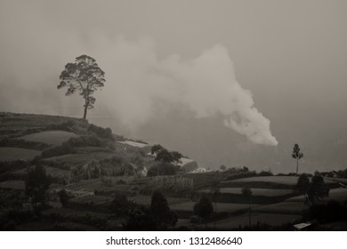 Foggy Morning In Dieng, Kabut. 