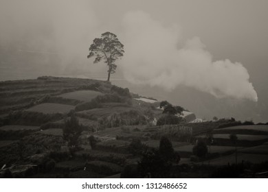 Foggy Morning In Dieng, Kabut. 