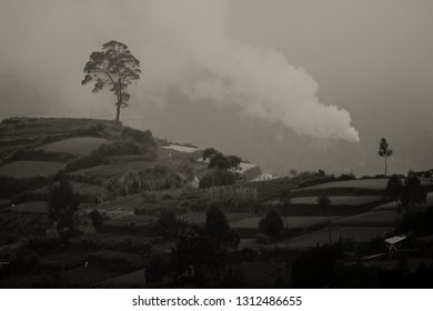 Foggy Morning In Dieng, Kabut. 