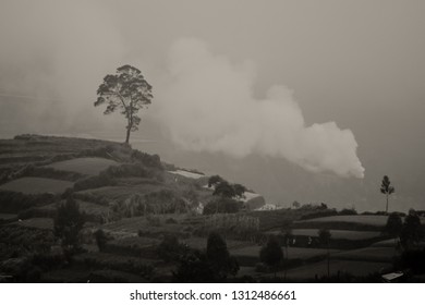 Foggy Morning In Dieng, Kabut. 