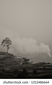 Foggy Morning In Dieng, Kabut. 