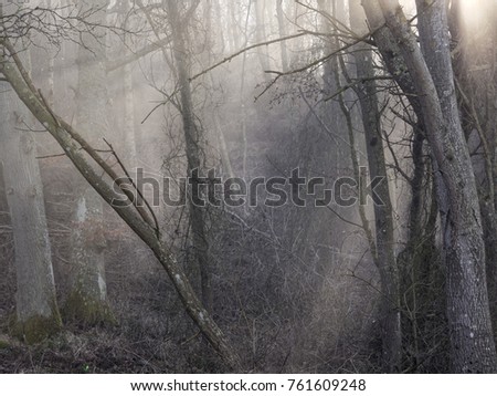 Similar – Foto Bild Samstagmorgen Natur Sonne