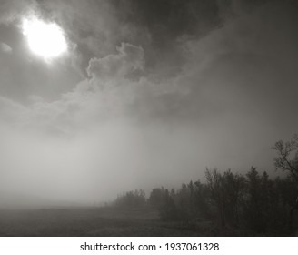 Foggy Morning In Hardangervidda National Park