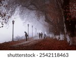 Foggy morning in lake of Kastoria