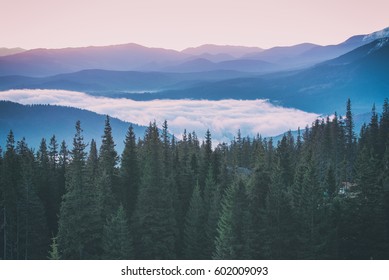 Foggy morning landscape with mountain range and fir forest in hipster vintage retro style - Shutterstock ID 602009093