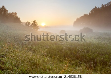 Similar – Foto Bild In den Morgennebel hinein