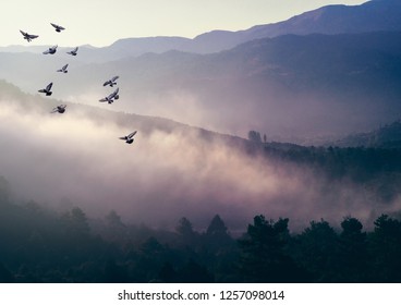 Foggy morning in the mountains with flying birds over silhouettes of hills. Serenity sunrise with soft sunlight and layers of haze. Mountain landscape with mist in woodland in pastel colors. - Shutterstock ID 1257098014