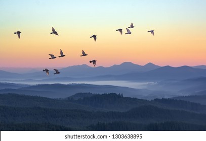 Foggy morning in the mountains with flying birds over silhouettes of hills. Serenity sunrise with soft sunlight and layers of haze. Mountain landscape with mist in woodland in pastel colors - Powered by Shutterstock