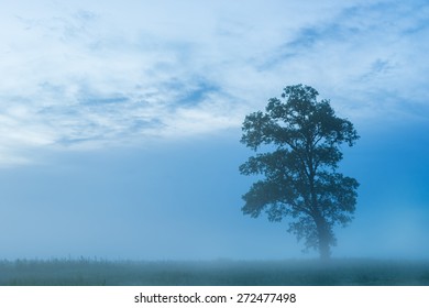 Foggy Morning On The Trinity River In Dallas, Texas