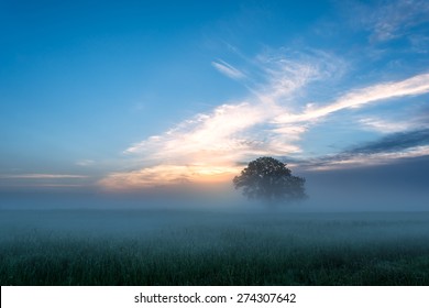 Foggy Morning On The Trinity River In Dallas, Texas