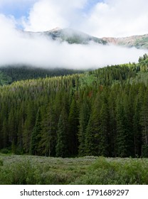 A Foggy Morning Outside Of Crested Butte CO