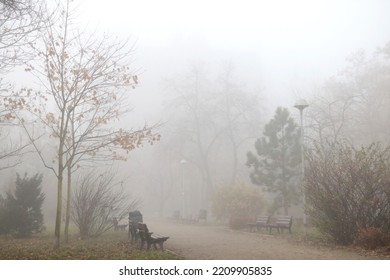 Foggy Morning In The Park. Autumn Background In The City