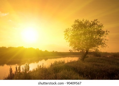 foggy morning sunny landscape with tree, grass and river