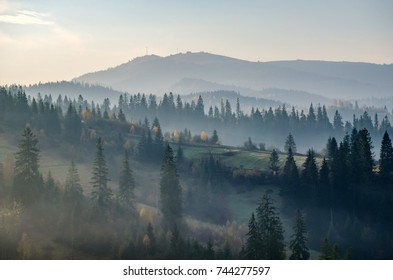 Foggy morning in the Ukrainian Carpathian Mountains in the autumn season - Shutterstock ID 744277597