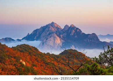 Vista la mañana brumosa