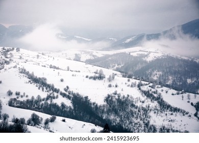 foggy morning in winter. carpathian countryside in snow covered hills in storm. alpine highlands of ukraine in bad weather conditions - Powered by Shutterstock