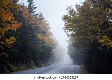 Foggy Mount Washington Auto Road, New Hampshire, USA