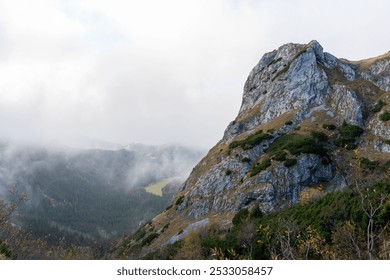 Foggy mountain landscape with autumn colors, featuring rocky slopes, dense forest, and a mist-filled valley. Concept of peaceful natural scenery, remote wilderness, and calm outdoor atmosphere.  - Powered by Shutterstock