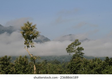 A foggy mountain range with trees and clouds
