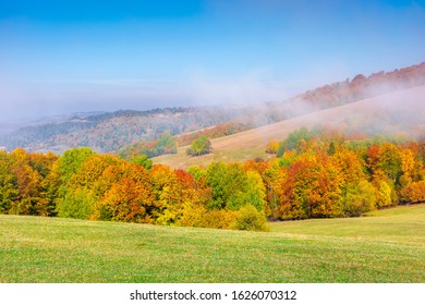 foggy mountain scenery in autumn. clouds rising above the rolling hills on a sunny morning. wonderful landscape with trees in fall foliage and grassy meadows. spectacular weather - Shutterstock ID 1626070312