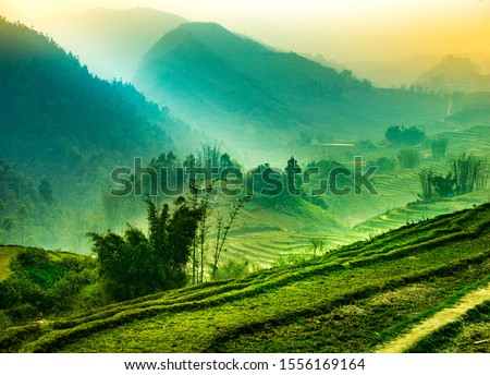 Foggy mystical rice fields in the lush green mountains of Sapa Valley Northen Vietnam