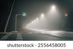 Foggy night scene with an illuminated pedestrian crossing and a row of glowing streetlights fading into the mist.