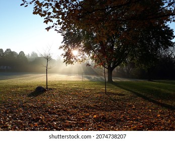 Foggy Park With Brilliant Sunrise