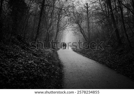 A foggy path winds through a forest with distant figures walking together.
