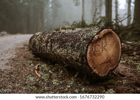 Similar – Holz vor der Hütte Umwelt