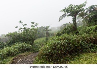 Foret Montagne Images Stock Photos Vectors Shutterstock