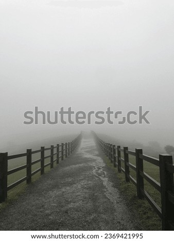 Similar – Image, Stock Photo Misty November Environment