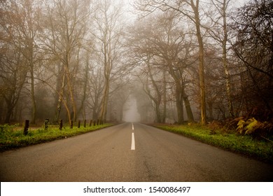 Foggy Road, Ashridge Woods, UK 2017